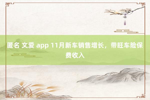 匿名 文爱 app 11月新车销售增长，带旺车险保费收入
