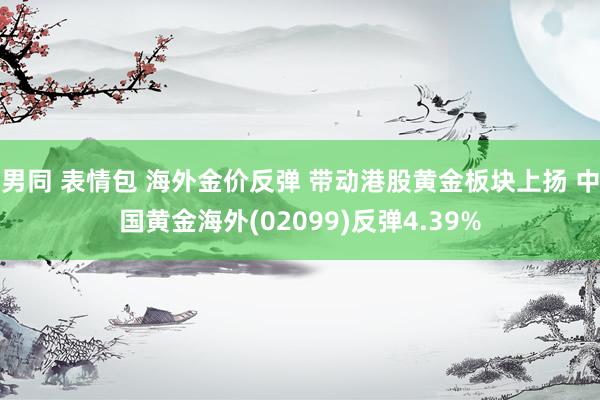 男同 表情包 海外金价反弹 带动港股黄金板块上扬 中国黄金海外(02099)反弹4.39%