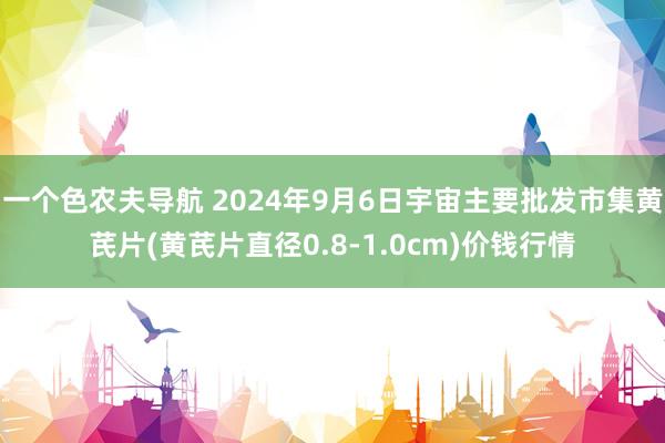 一个色农夫导航 2024年9月6日宇宙主要批发市集黄芪片(黄芪片直径0.8-1.0cm)价钱行情