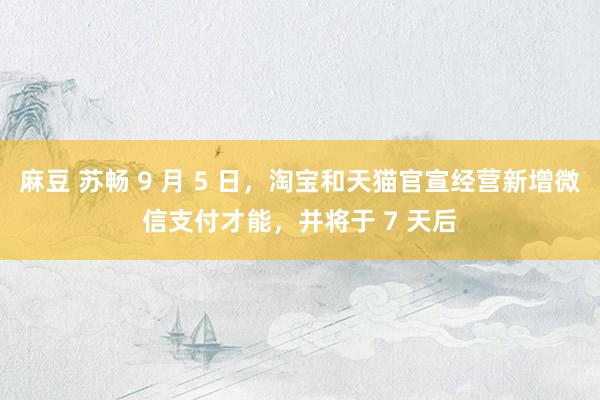 麻豆 苏畅 9 月 5 日，淘宝和天猫官宣经营新增微信支付才能，并将于 7 天后