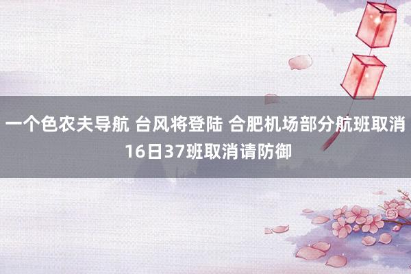 一个色农夫导航 台风将登陆 合肥机场部分航班取消 16日37班取消请防御