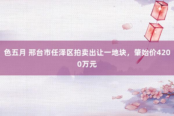 色五月 邢台市任泽区拍卖出让一地块，肇始价4200万元