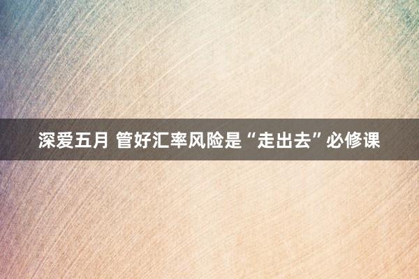 深爱五月 管好汇率风险是“走出去”必修课