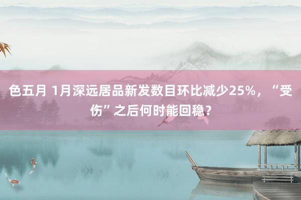 色五月 1月深远居品新发数目环比减少25%，“受伤”之后何时能回稳？