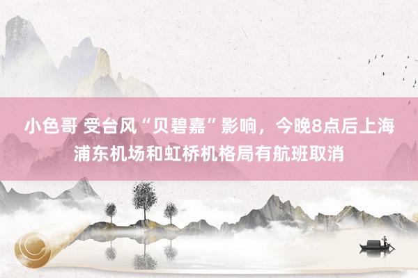 小色哥 受台风“贝碧嘉”影响，今晚8点后上海浦东机场和虹桥机格局有航班取消