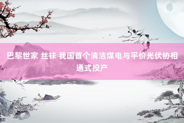 巴黎世家 丝袜 我国首个清洁煤电与平价光伏协相通式投产