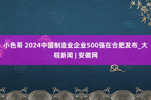 小色哥 2024中国制造业企业500强在合肥发布_大皖新闻 | 安徽网