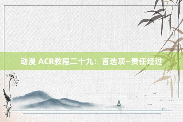 动漫 ACR教程二十九：首选项—责任经过