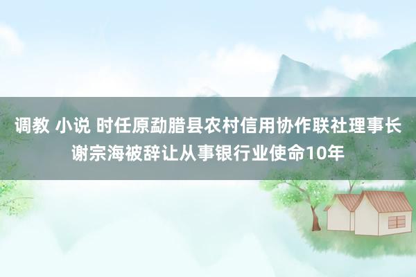 调教 小说 时任原勐腊县农村信用协作联社理事长谢宗海被辞让从事银行业使命10年