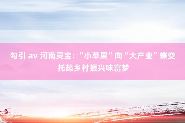 勾引 av 河南灵宝: “小苹果”向“大产业”蝶变 托起乡村振兴味富梦