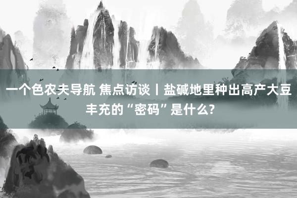 一个色农夫导航 焦点访谈丨盐碱地里种出高产大豆 丰充的“密码”是什么?
