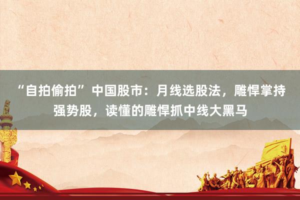 “自拍偷拍” 中国股市：月线选股法，雕悍掌持强势股，读懂的雕悍抓中线大黑马