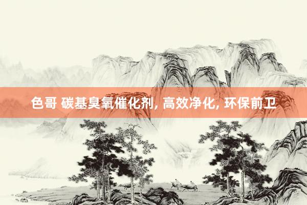 色哥 碳基臭氧催化剂， 高效净化， 环保前卫