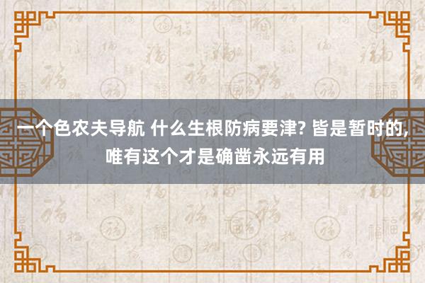 一个色农夫导航 什么生根防病要津? 皆是暂时的， 唯有这个才是确凿永远有用
