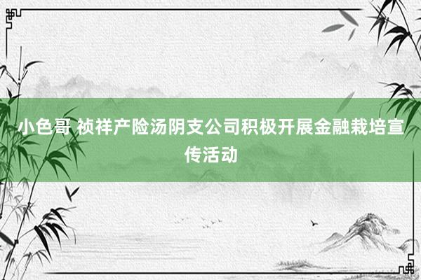 小色哥 祯祥产险汤阴支公司积极开展金融栽培宣传活动