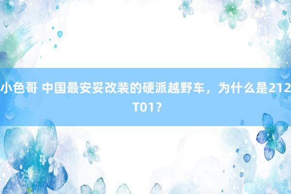 小色哥 中国最安妥改装的硬派越野车，为什么是212 T01？