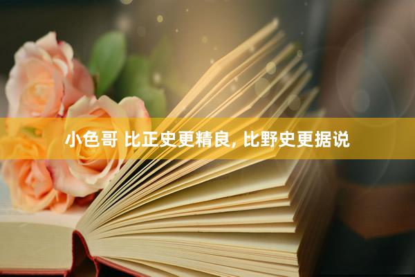 小色哥 比正史更精良， 比野史更据说