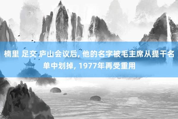 楠里 足交 庐山会议后， 他的名字被毛主席从提干名单中划掉， 1977年再受重用