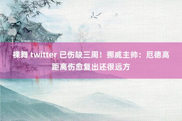 裸舞 twitter 已伤缺三周！挪威主帅：厄德高距离伤愈复出还很远方