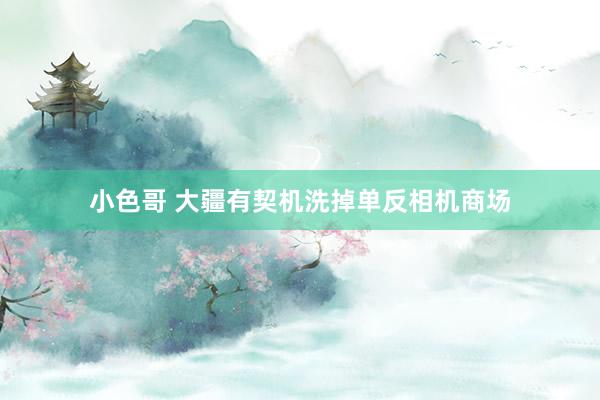小色哥 大疆有契机洗掉单反相机商场