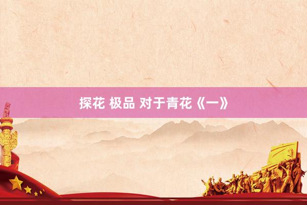 探花 极品 对于青花《一》
