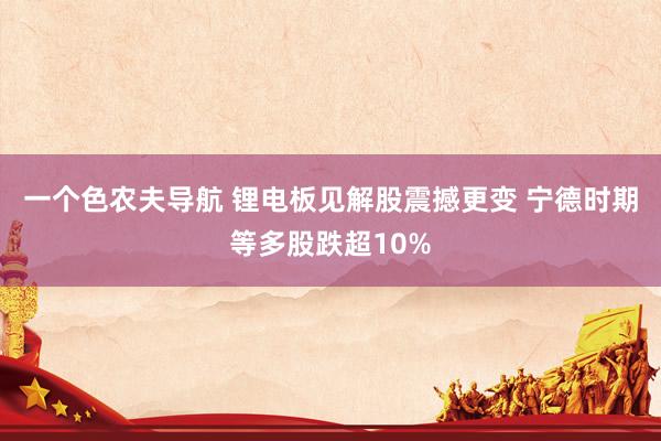 一个色农夫导航 锂电板见解股震撼更变 宁德时期等多股跌超10%