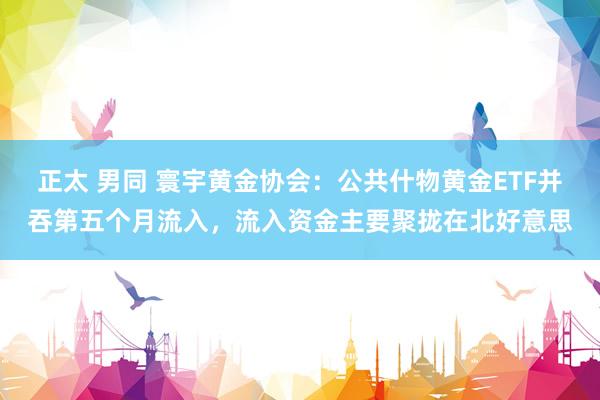 正太 男同 寰宇黄金协会：公共什物黄金ETF并吞第五个月流入，流入资金主要聚拢在北好意思