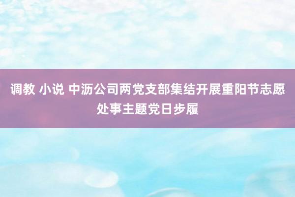 调教 小说 中沥公司两党支部集结开展重阳节志愿处事主题党日步履