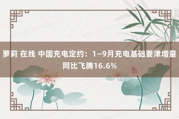 萝莉 在线 中国充电定约：1—9月充电基础要津增量同比飞腾16.6%