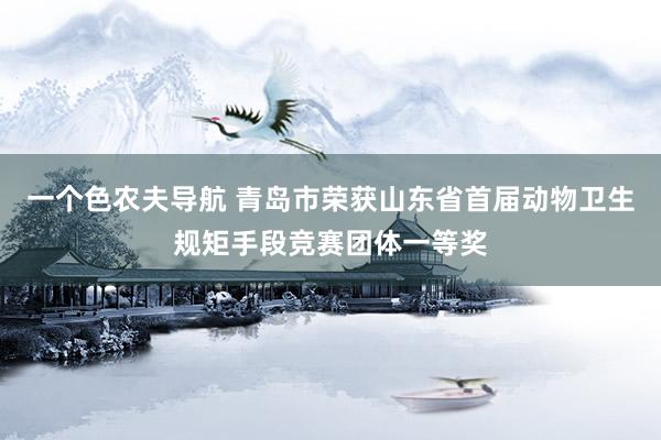 一个色农夫导航 青岛市荣获山东省首届动物卫生规矩手段竞赛团体一等奖