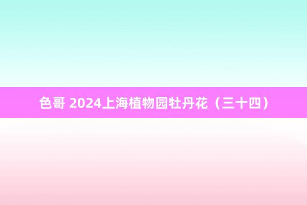 色哥 2024上海植物园牡丹花（三十四）