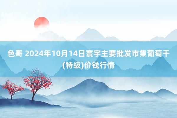色哥 2024年10月14日寰宇主要批发市集葡萄干(特级)价钱行情