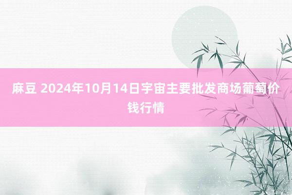 麻豆 2024年10月14日宇宙主要批发商场葡萄价钱行情