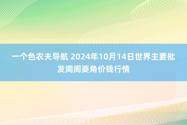 一个色农夫导航 2024年10月14日世界主要批发阛阓菱角价钱行情