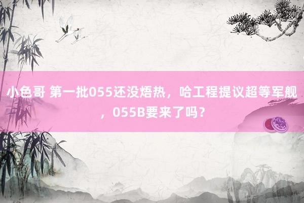 小色哥 第一批055还没焐热，哈工程提议超等军舰，055B要来了吗？