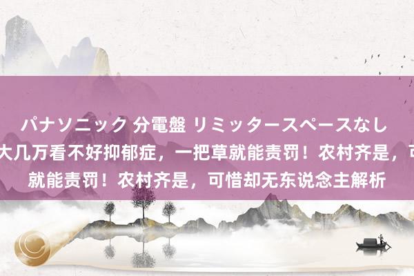 パナソニック 分電盤 リミッタースペースなし 露出・半埋込両用形 大几万看不好抑郁症，一把草就能责罚！农村齐是，可惜却无东说念主解析