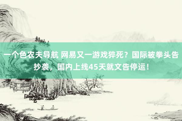 一个色农夫导航 网易又一游戏猝死？国际被拳头告抄袭，国内上线45天就文告停运！
