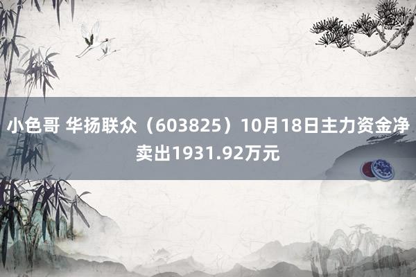 小色哥 华扬联众（603825）10月18日主力资金净卖出1931.92万元