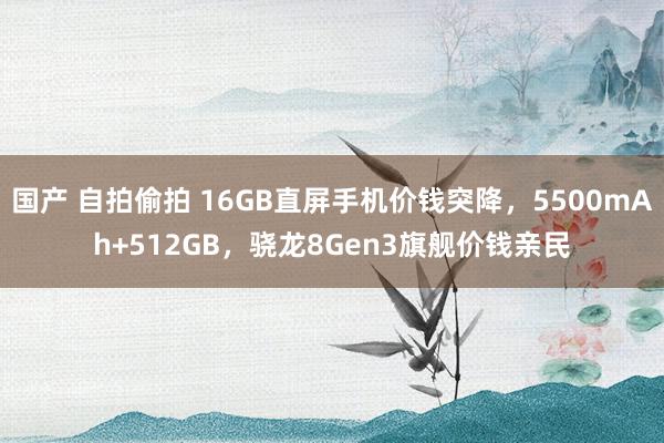 国产 自拍偷拍 16GB直屏手机价钱突降，5500mAh+512GB，骁龙8Gen3旗舰价钱亲民