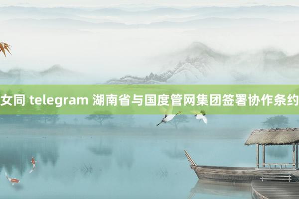 女同 telegram 湖南省与国度管网集团签署协作条约
