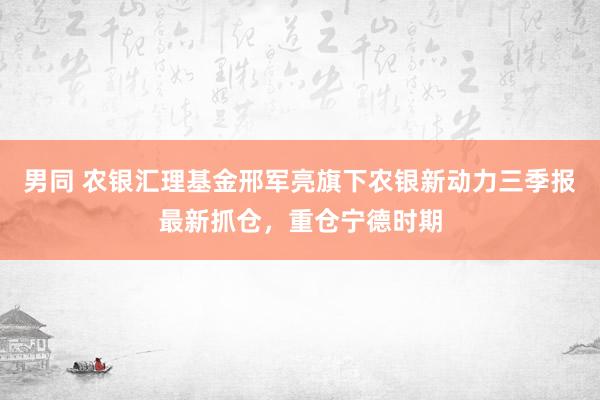 男同 农银汇理基金邢军亮旗下农银新动力三季报最新抓仓，重仓宁德时期
