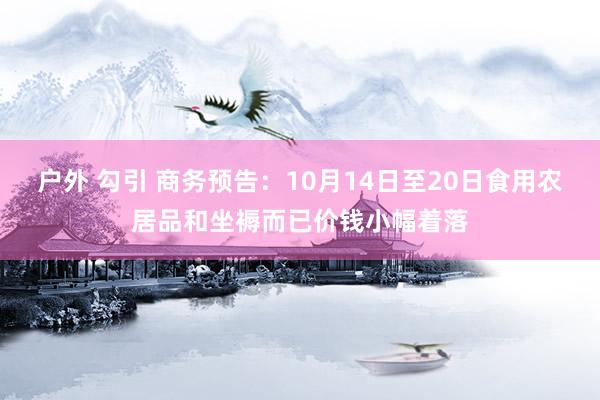 户外 勾引 商务预告：10月14日至20日食用农居品和坐褥而已价钱小幅着落
