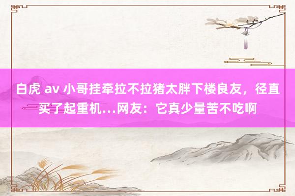 白虎 av 小哥挂牵拉不拉猪太胖下楼良友，径直买了起重机…网友：它真少量苦不吃啊