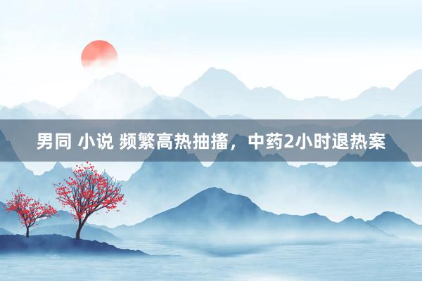 男同 小说 频繁高热抽搐，中药2小时退热案