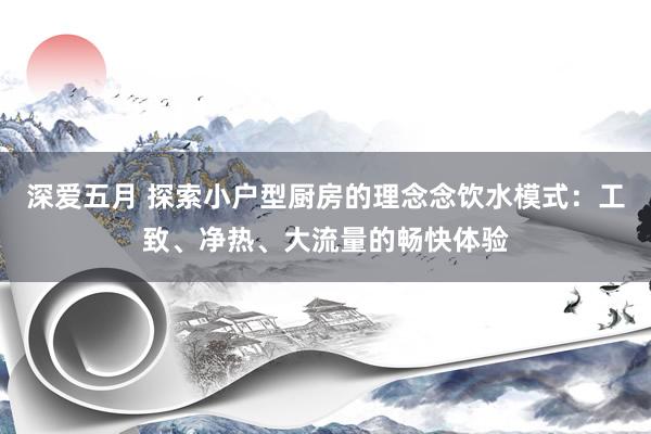 深爱五月 探索小户型厨房的理念念饮水模式：工致、净热、大流量的畅快体验