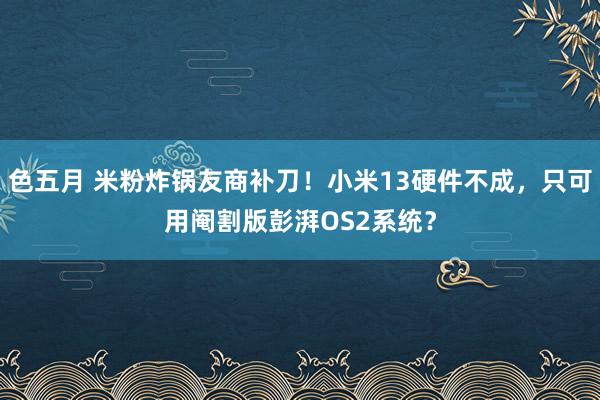 色五月 米粉炸锅友商补刀！小米13硬件不成，只可用阉割版彭湃OS2系统？