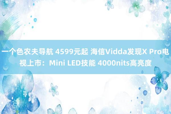 一个色农夫导航 4599元起 海信Vidda发现X Pro电视上市：Mini LED技能 4000nits高亮度