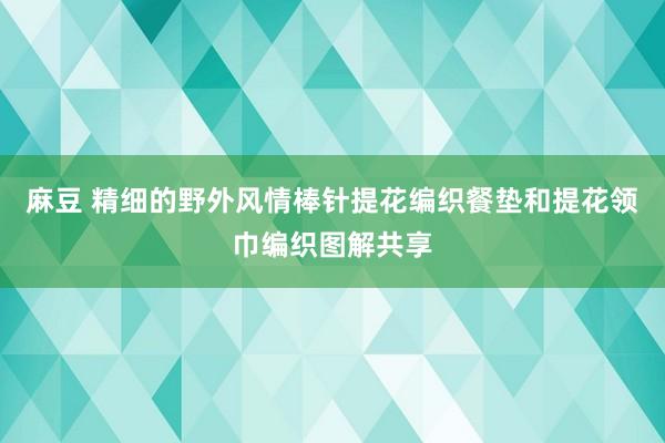 麻豆 精细的野外风情棒针提花编织餐垫和提花领巾编织图解共享