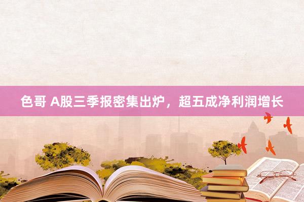 色哥 A股三季报密集出炉，超五成净利润增长