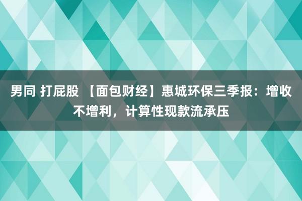 男同 打屁股 【面包财经】惠城环保三季报：增收不增利，计算性现款流承压